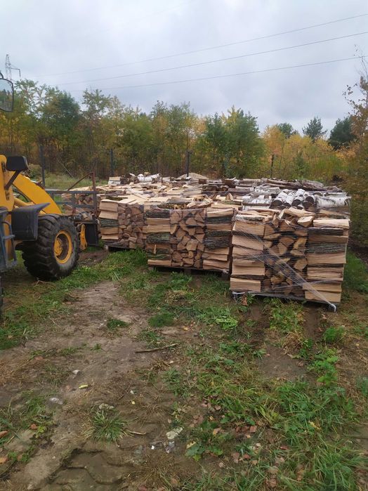 Drewno kominkowe, sezonowane, dąb, brzoza. Wieliszew, Legionowo,