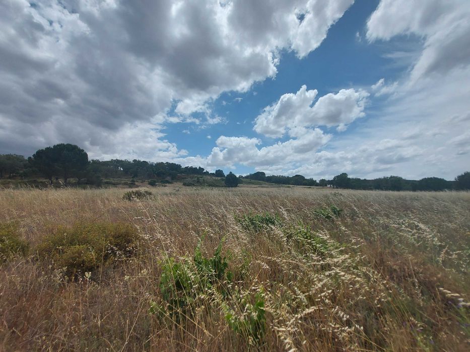 Terreno Rustico em Mora Cabecao