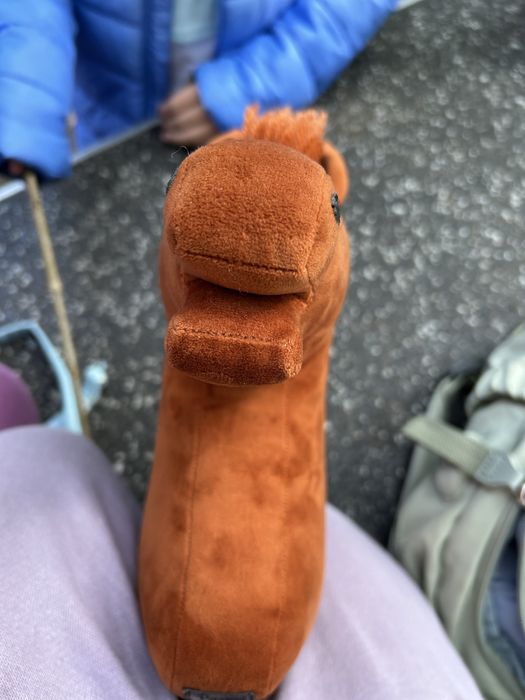 Hobby horse rydy