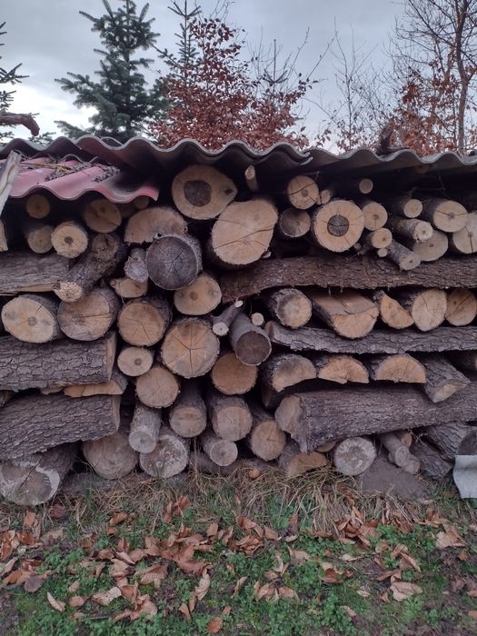Sprzedam drzewo kominkowe i opałowe suche