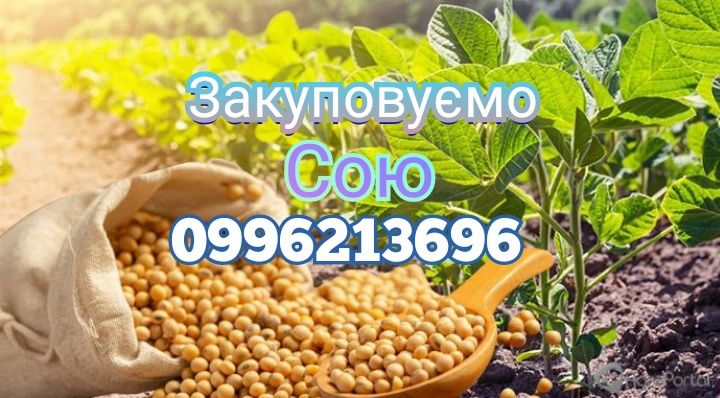 закупаємо сою 13000