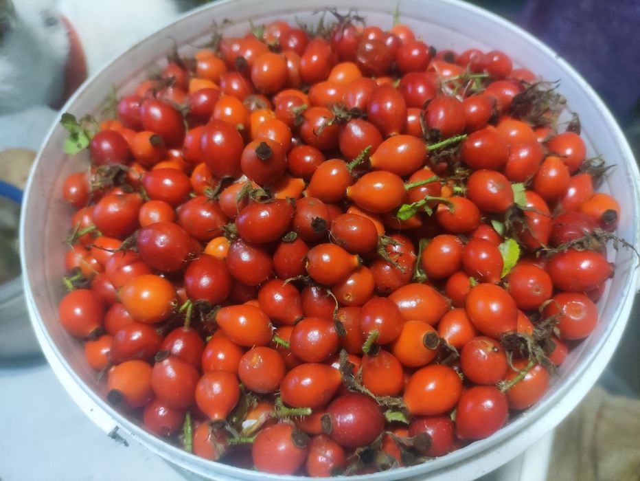 Варенье шелковица,слива,бузина,рокомболь,шиповник