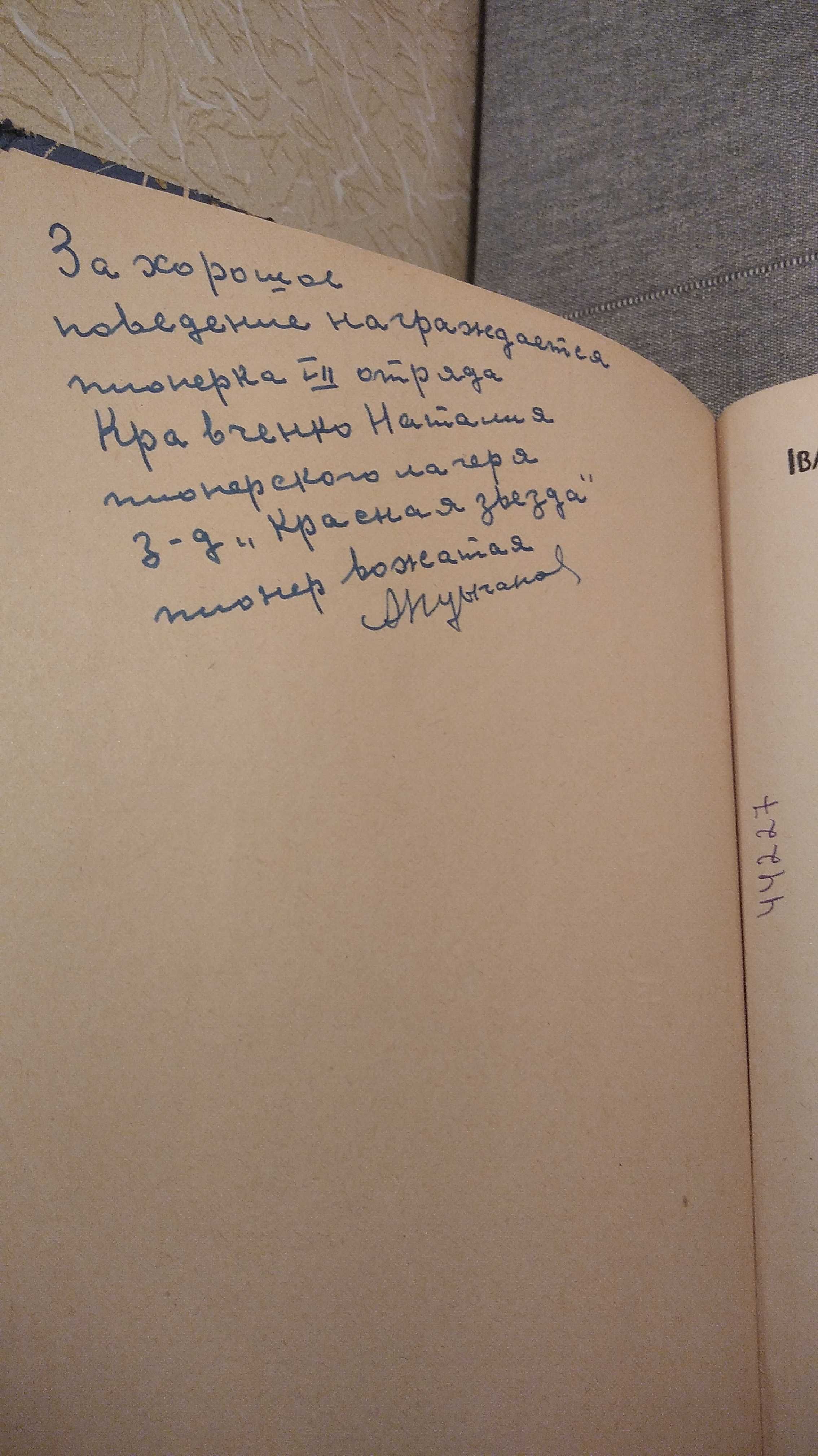 Хлоп'ята з нащої вулиці.  І. Нехода