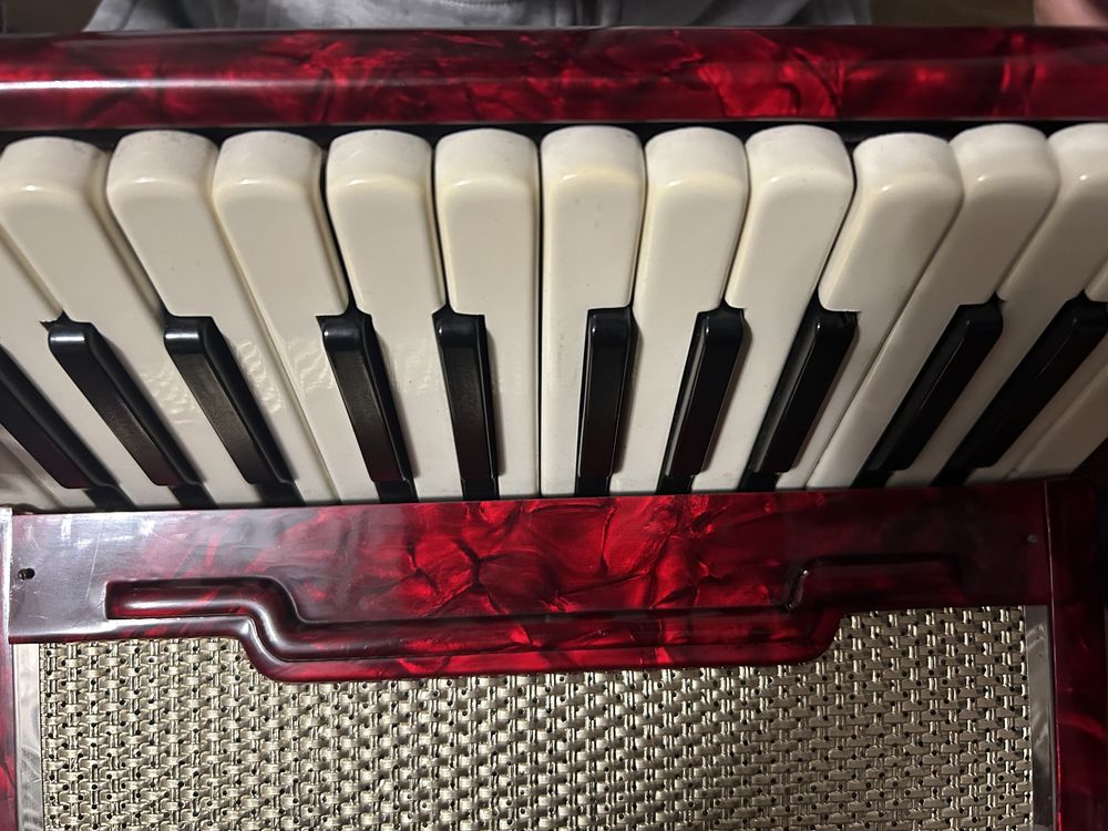 Firedti 40 Bass accordion akordeon