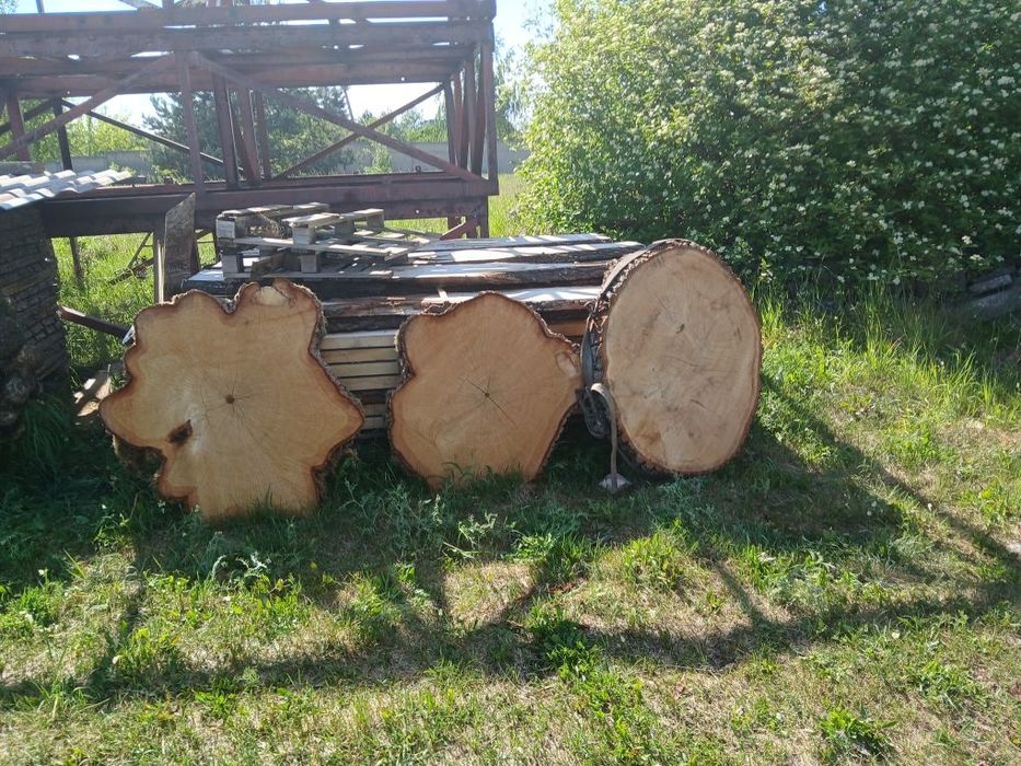 Dębowe plastry surowe