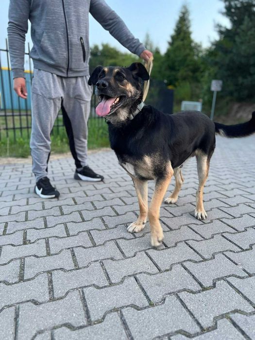 2 letni Borysek do adopcji