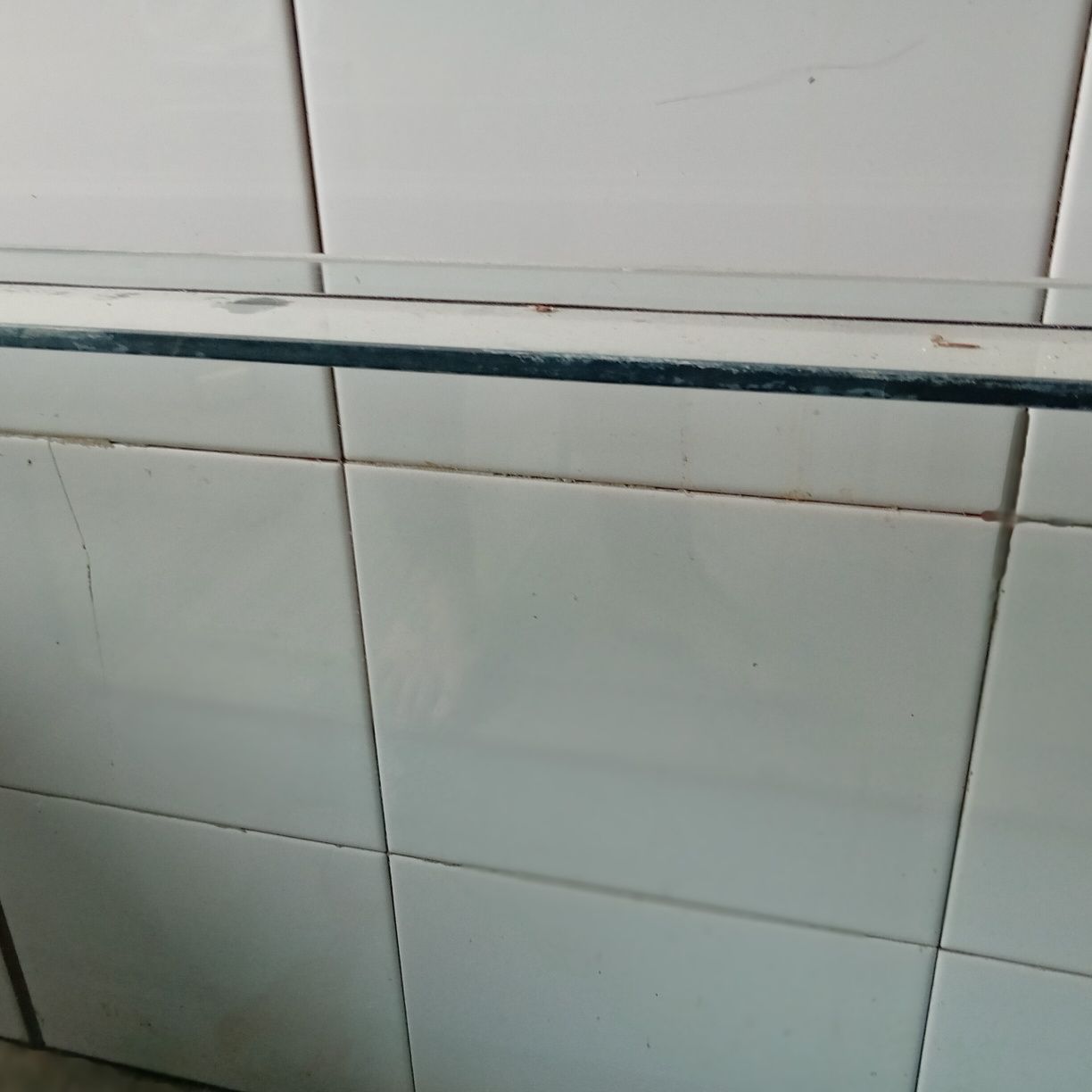 Akwarium 100/40 i 50 wysokosc.