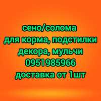 СЕНО В ТЮКАХ МЕШКАХ,  сіно для корма, мульчи, на подстилку животным