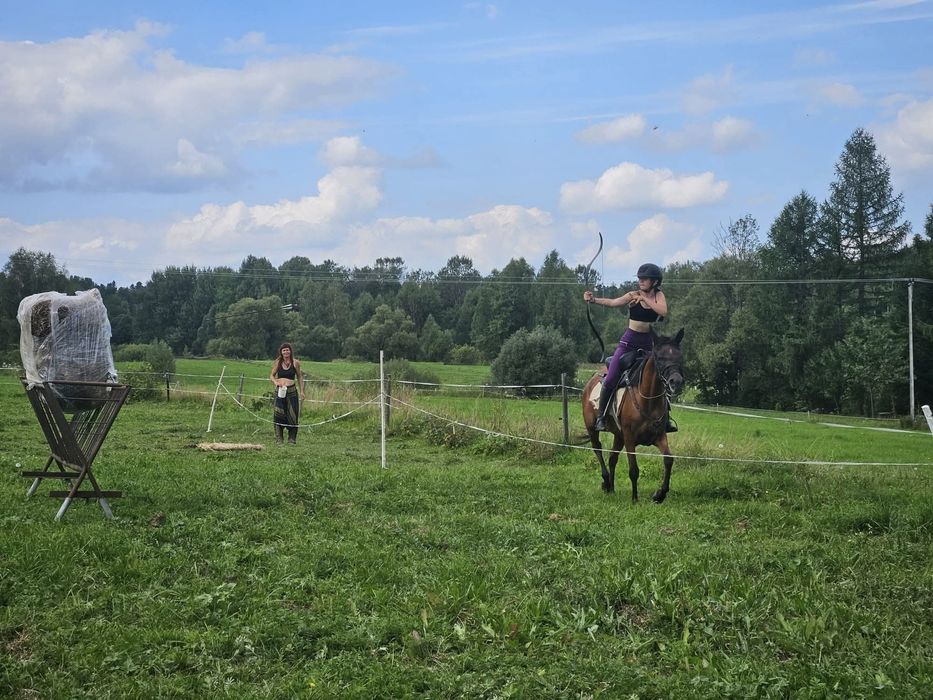 Klacz arabska kuhailanka