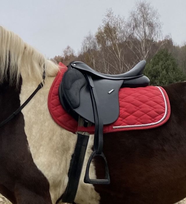 siodło wintec wszechstronne 17,5