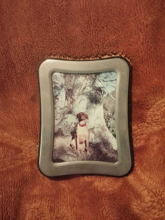 Ramka metalowa zamsz stojąca