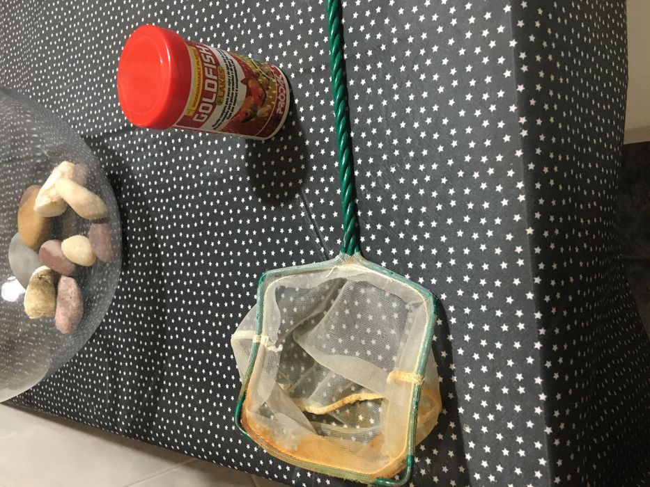 Aquário redondo com rede