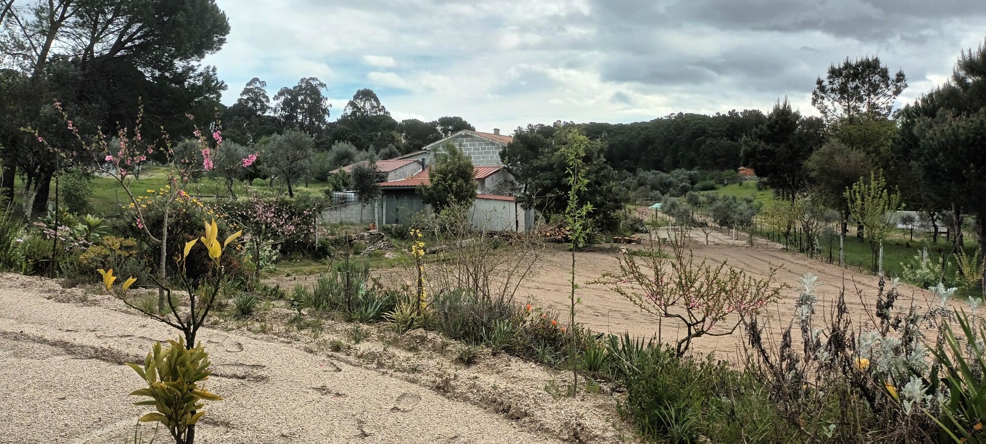 Terreno para venda