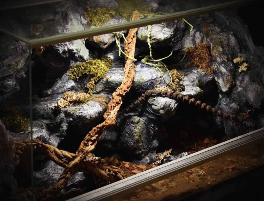 Terrarium na wymiar!