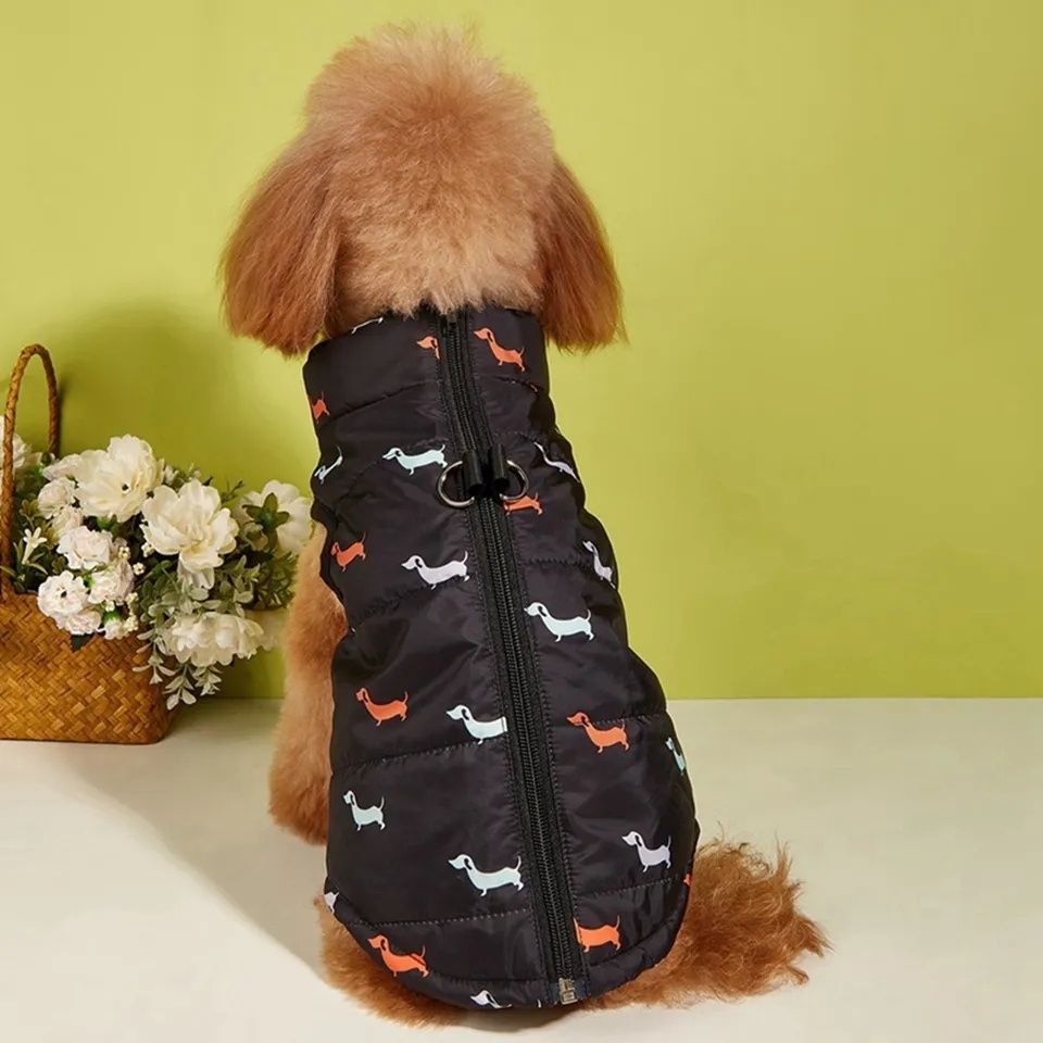 Roupa para animal muito pequeno