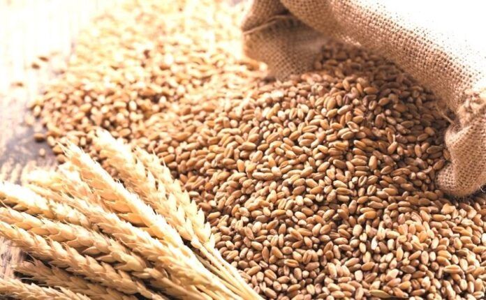 Продам пшеницю, ячмінь