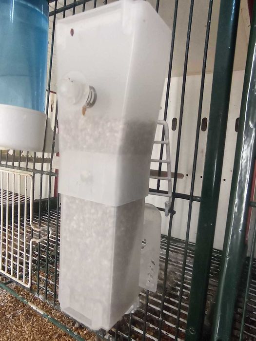 40 comedouros automaticos