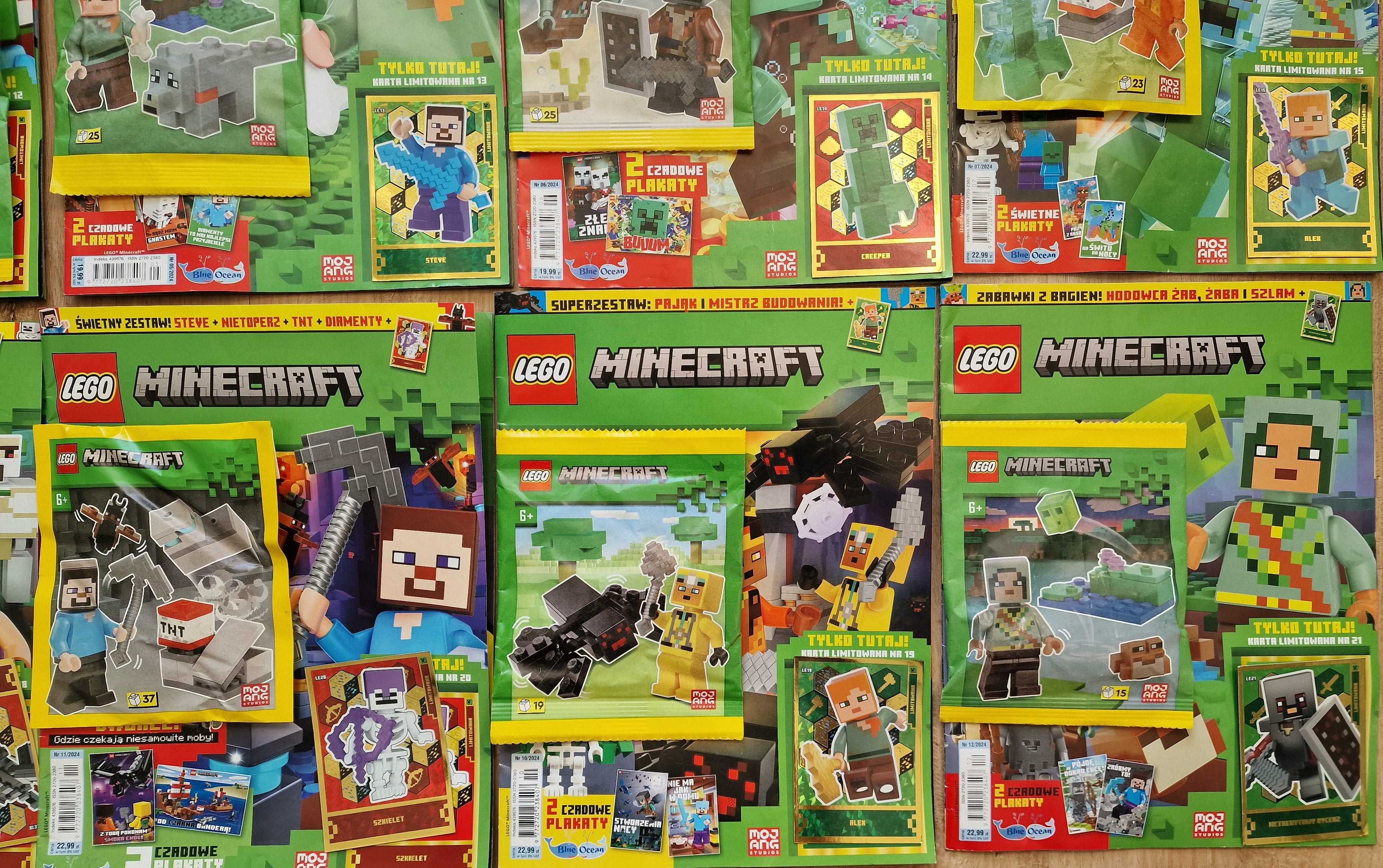 10 X magazyn LEGO MINECRAFT rok 3/4/5/6/7/8/9/10/11/12/2024 + figurki