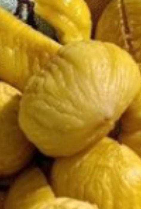 Castanha 1,00€ excelente qualidade