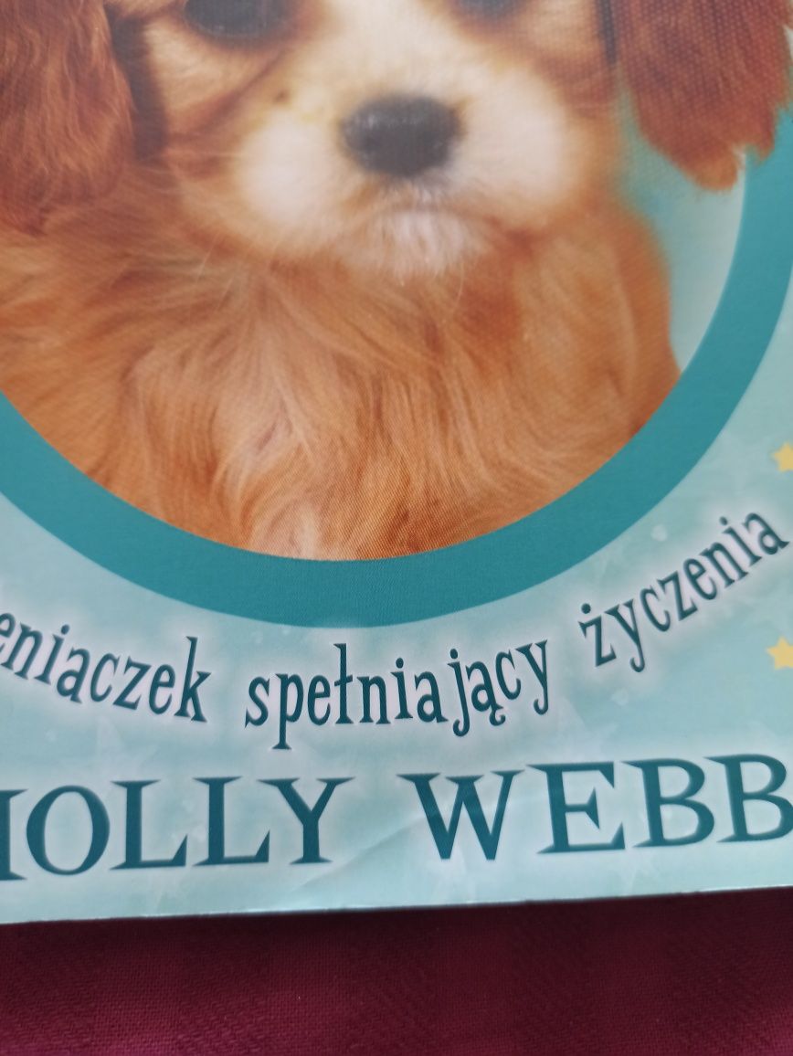 Książka Magic Molly