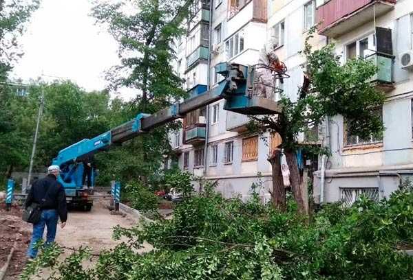 Розчистка ділянок, Зрізання дерев, корчування Демонтаж Спил, обрізка,