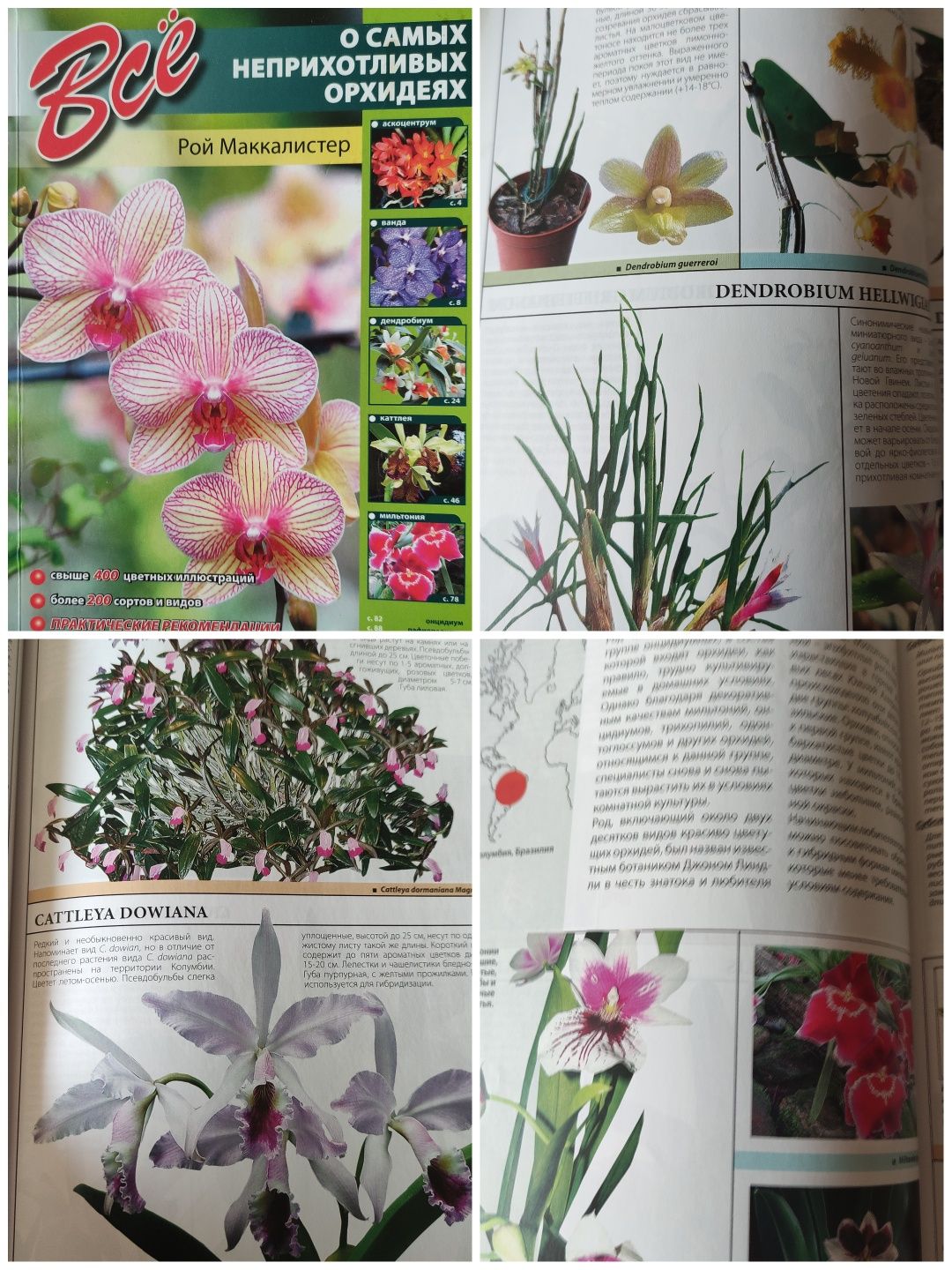 Литература справочник орхидеи и другие комнатные растения