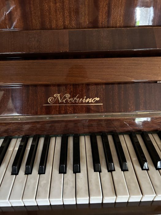 Pianino Nokturno