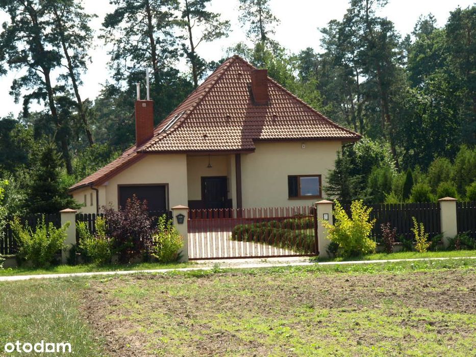 Dom na skraju lasu działka 3400 m z sadem i dwoma ogródkami zadbane