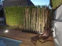 10 Canas bambu decorativas