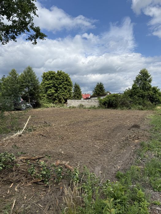 Mulczer leśny Czyszczenie działek mulczerem | Usuwanie zarośli