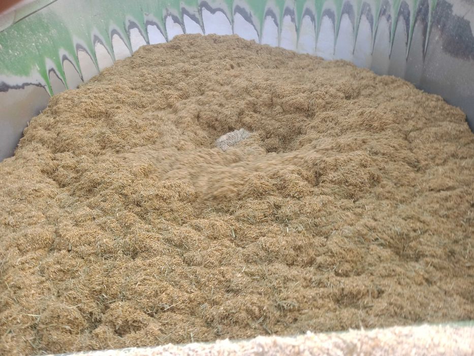 Sprzedam suchy TMR dla cieląt