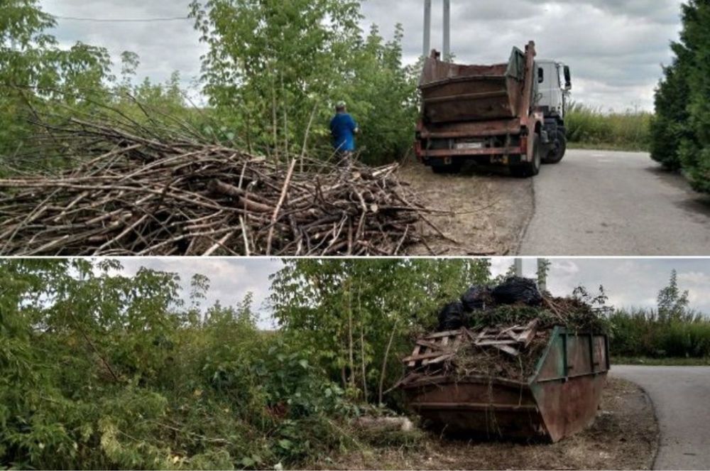 Спил деревьев Обрезка Покос травы Расчистка участка Покос газона