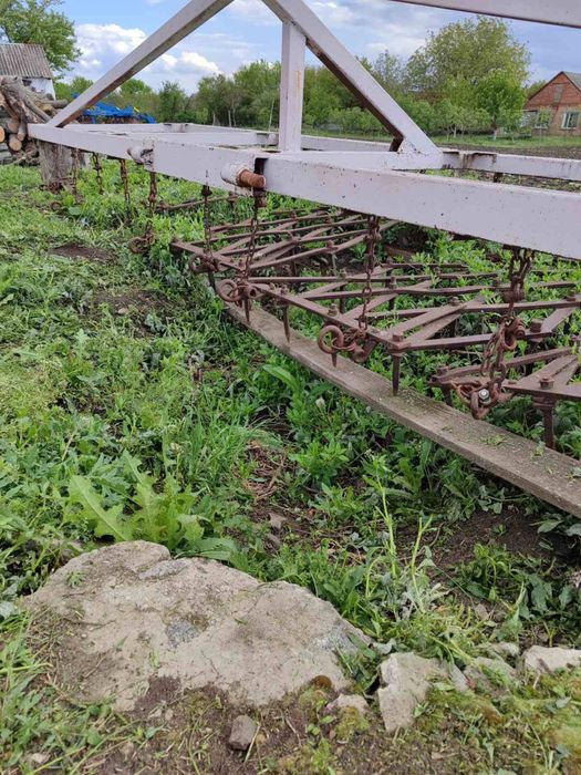 Борона зубова