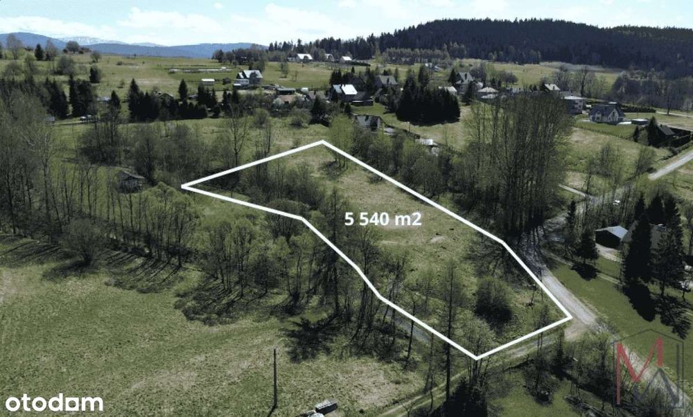 Widokowa działka budowlana Las, Beskid Mały