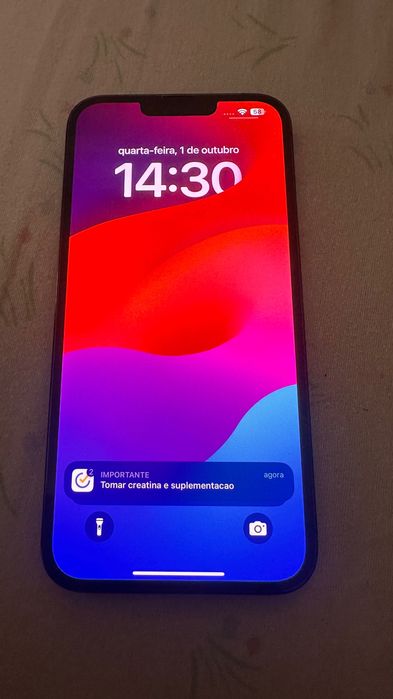 iPhone 13 Pro Max 256GB