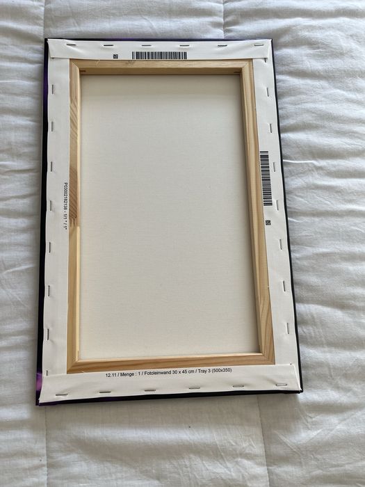 Quadro cavalo.