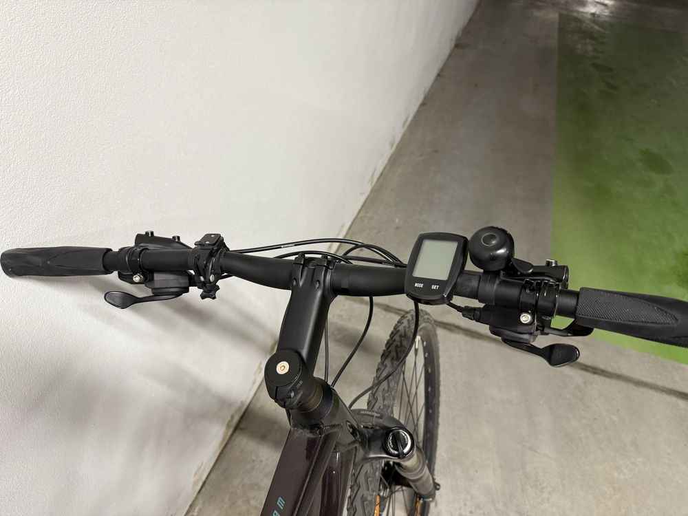 Rower Giant Roam 0 XL 2021