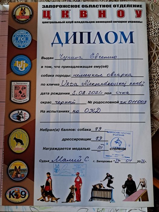 Отдам щенков в хорошие руки