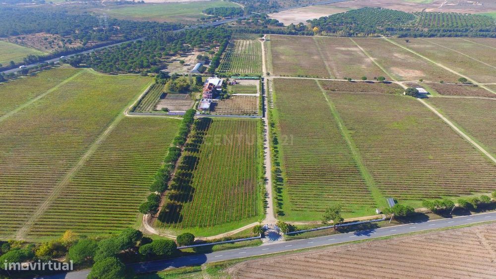 Herdade no Poceirão com 101 ha - Palmela
