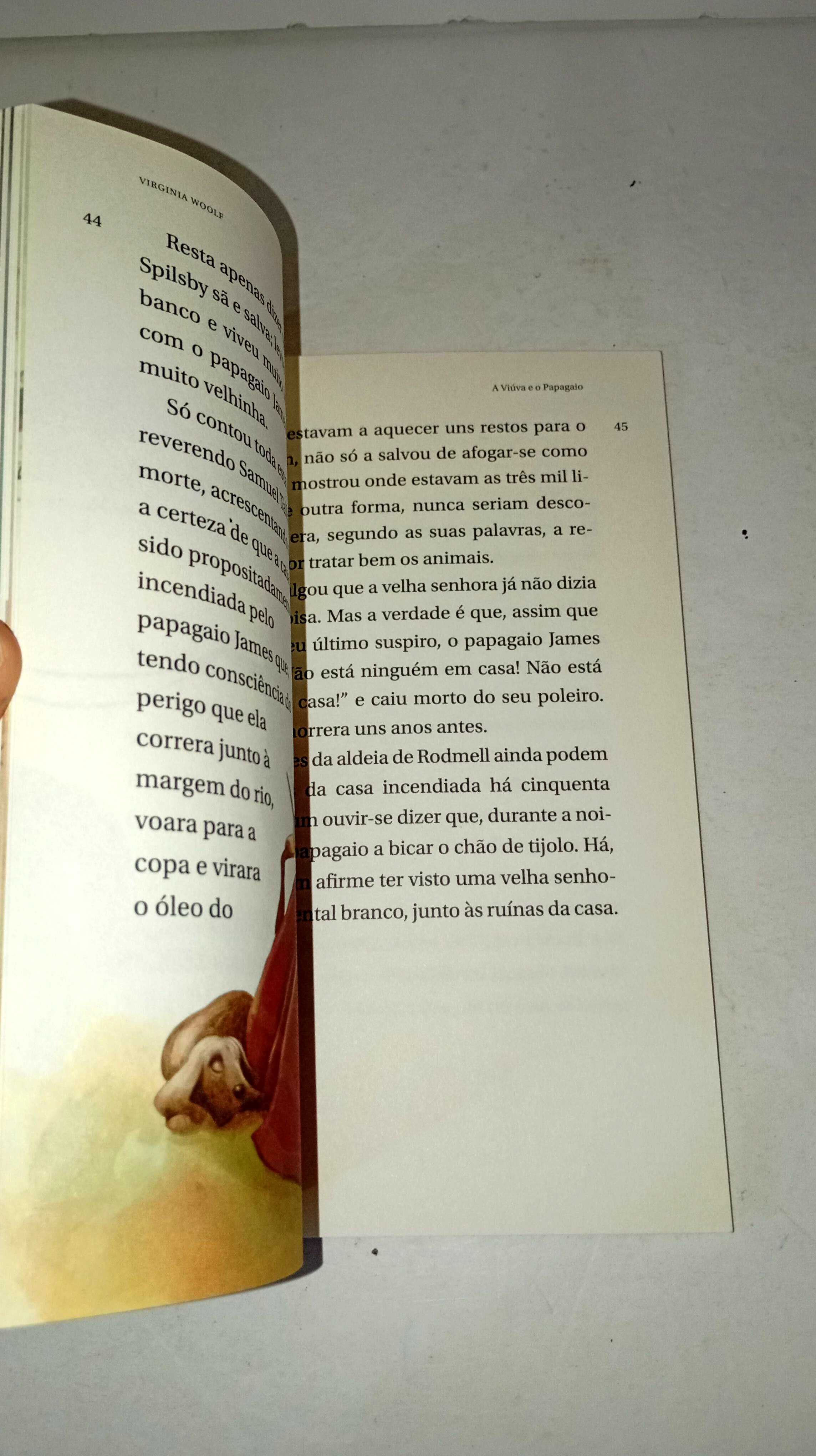 A Viúva e o Papagaio