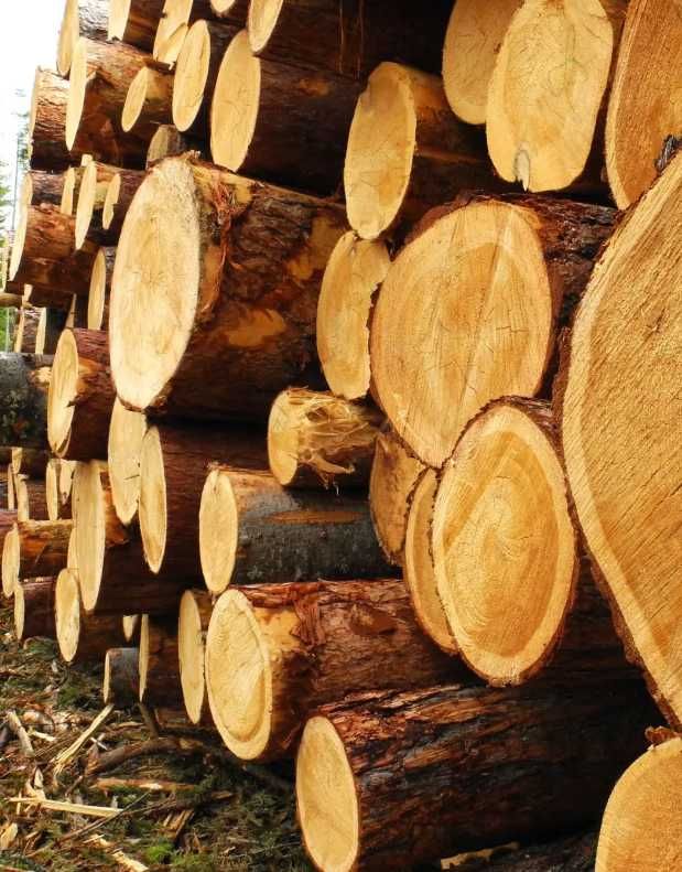 Продаю дрова дуб, ясень, акация, без предоплаты, доставка
