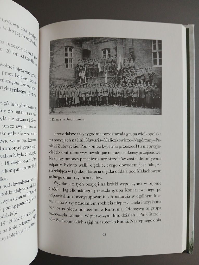 Udział Wielkopolski w odbudowie Rzeczypospolitej w latach 1918 i 1919