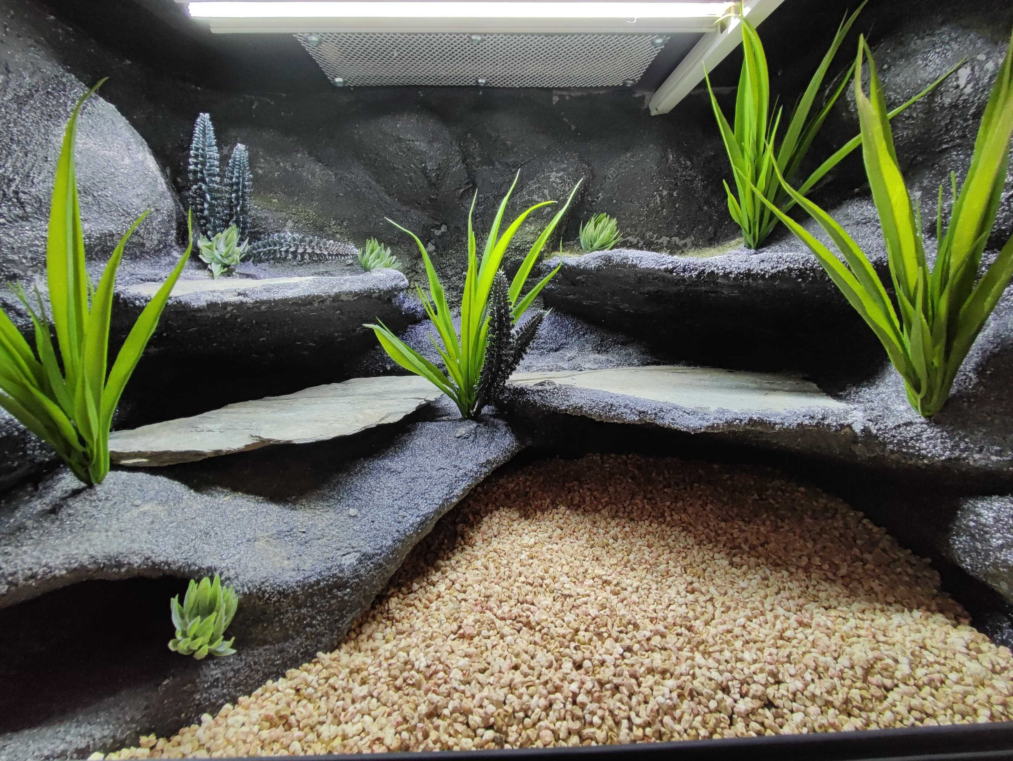 Terrarium pustynne nr710 60/40/40 dla gekona lamparciego DOSTĘPNE