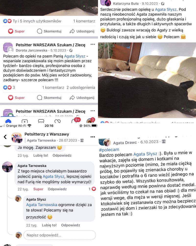 Jak w domu- opieka nad psem/kotem, hotel dla psów / petsitter