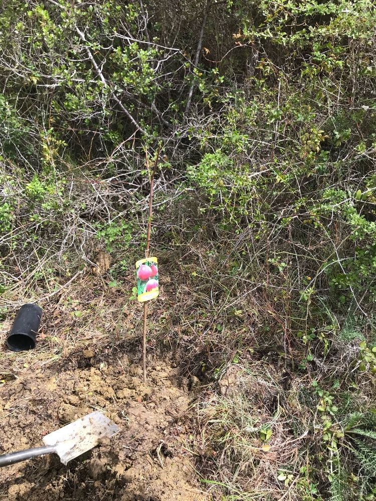 Terreno rustico em Mafra