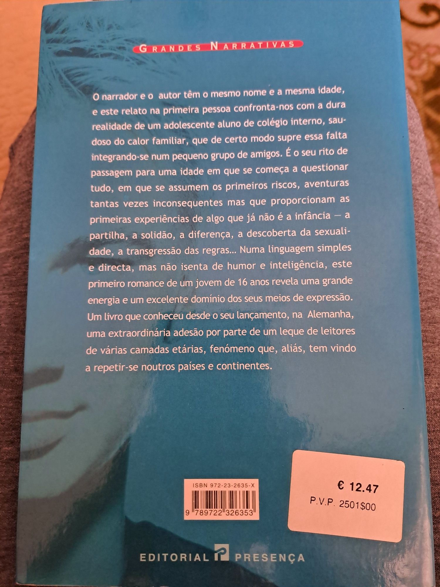 Crazy : a história de um jovem / Benjamin Lebert