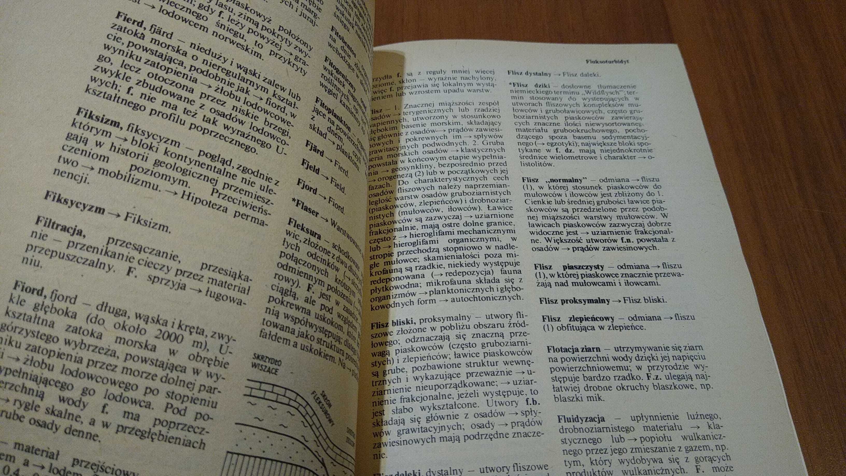 Słownik geologii dynamicznej Wojciech Jaroszewski,Marks , Radomski