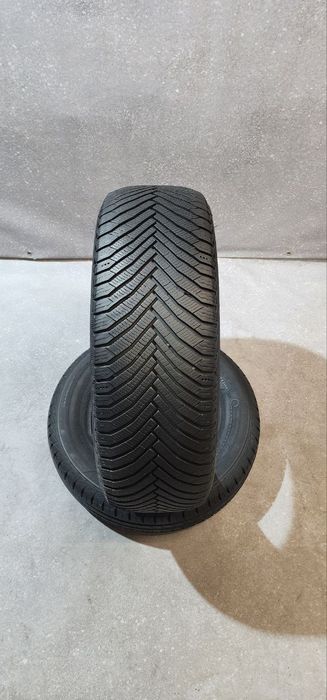 205.55.17 Michelin Alpin7 2шт