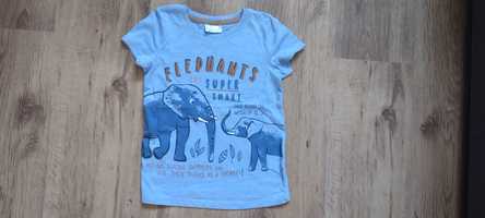 t-shirt so&cutr 104