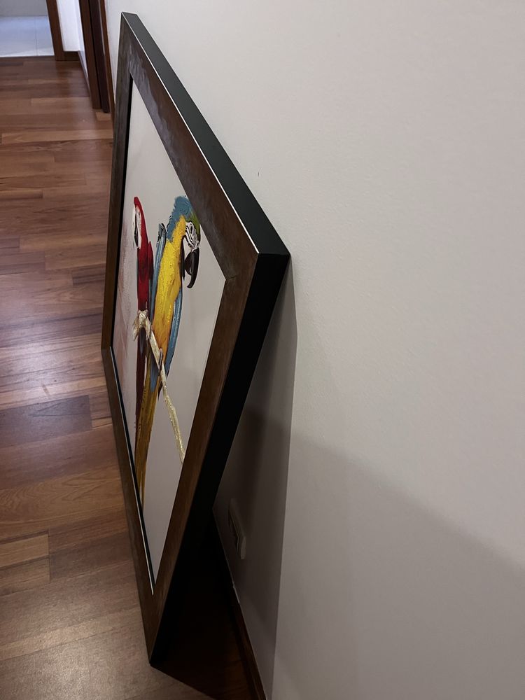 Quadro papagaios